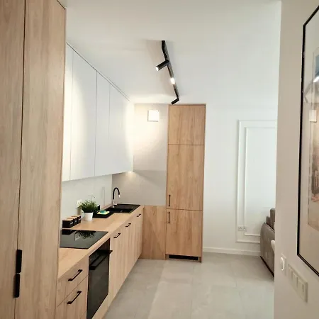 Апартаменты Luxury Scheibler Family Loft -8 Guests Fuzja